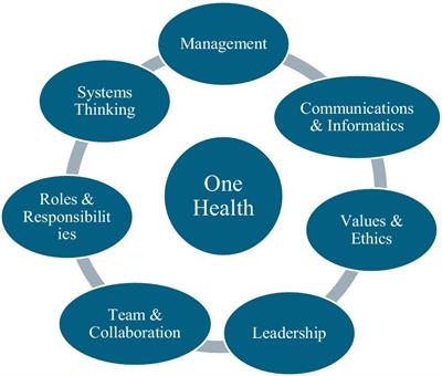 Using one health training for interprofessional team building: implications for research, policy, and practice in Nigeria